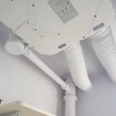 순천덕진의봄 이미지