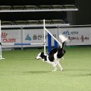 이재룡의 뭉개뭉개 유치원 이미지