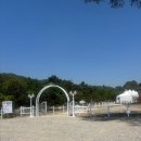 달빛새베이커리앤카페 | 밤섬유원지 남양주 드라이브 대형카페 [ 달빛새 베이커리앤카페 ] 후기