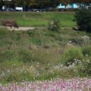 프리마루체 건너편 이미지