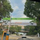 스페인밀레니엄합창단 Hola아리랑 이미지