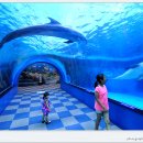 장생포고래박물관 이미지