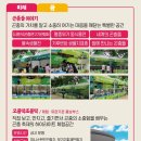 봉무공원 놀이터 이미지