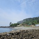 대평상회 이미지