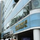 샌디샐리 이미지