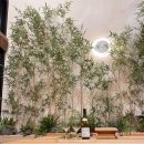 리리스테이 이미지