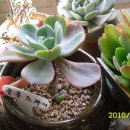 블루스카이 이미지