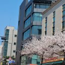 만나손칼국수 - 중구 서애로1길 11 | 만나손칼국수
