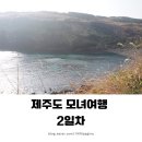 순동목장 | ㅣ제주도 겨울여행ㅣ소금바치 순이네, 조옹달리, 우도(전기차 대여), 책방무사, 백약이오름(유료주차...