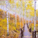 자작나무호텔 이미지