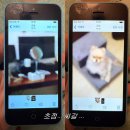 에이-원이(e)덴탈 | 이베이에서 아이폰 5c 구매후기 | 구매처 | 작례 (feat. 카메라 고장나서 부분환불 받음;)