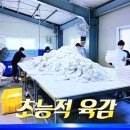 세탁의달인 | 생활의 달인 호텔 침구 최첨단 세탁 공장 리뷰 세탁업계 스카우트 1순위 이순례 달인