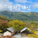 포천 애견동반 캠핑장 캠핑플래닛 타프존 명당 반려견가능