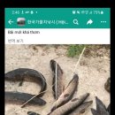 동남아진들의 가물치낚시 (경악주의) 이미지