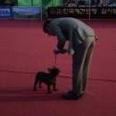 라온베이비 이미지