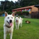 수양호원 이미지