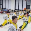 차오름 태권도 이미지