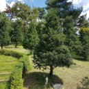 안전목장 이미지