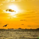 솔찬공원 이미지