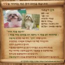 (주)말티 이미지