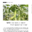 연정농장 이미지