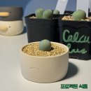 식줍