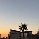 살랑제주 | 제주 서귀포 신상숙소 제주살랑 내돈내산 솔직후기