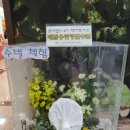 농업 95%가 과학이다. 나의 농업은 과학이 과연 몇 % ?