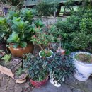 앞동산농장 이미지