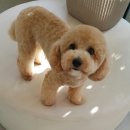 봄나래동물병원 이미지