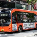 삼안여객 이미지