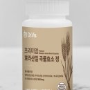 닥터비스 네이버블로그