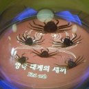 영덕어촌민속전시관 이미지