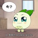 안양 평촌칼라힐 차다풋살파크평촌점 후기(+플랩 게스트모집 후기)