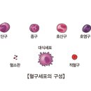 혼돈.망상-'백혈병?/당뇨병.뇌졸중.암.치매..원인?' '전쟁/평화?' '인생은 운명?-신의 뜻-업보-인연?'-이무소득고/구경열반/득도 이미지