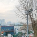 상리자전거교통안전교육장 이미지