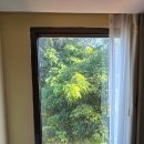 이든호텔앤스파 | [인도네시아/발리] 우붓 시내 중심, 가성비와 위치 다 잡은 '센스 호텔 앤 스파' 숙박 후기