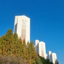 수지성지 공인중개사사무소 | ✨수지구청역 신정마을 5단지 성지 아파트 소개✨