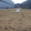 내판3리 마을회관 이미지