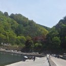 금강 Daum카페