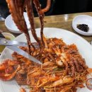 팔미낙지한마리수제비