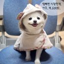 형제전자 이미지