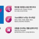 목포청호초등학교 이미지