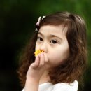 숲속의작은스튜디오