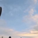 폴란드 에어쇼 리허설 중 F-16 전투기 추락 이미지