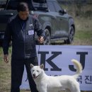 웅암 Daum카페