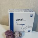 주식회사 원플러스원 | 면역력 키우기 대상포진 헤르페스 예방 하기 - 라이신