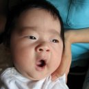 고덕면011 Daum카페