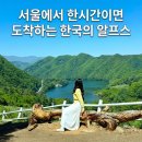 해피뷰매점 | 7월 8월 춘천 당일치기 여행 코스 여름 해피초원목장 포토존 명당 이용 꿀팁