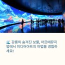 아르떼 | 강릉아르떼뮤지엄 후기는? 강릉가볼만한곳 완전정복 🐾